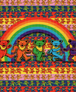 Buy LSD Matching Bears