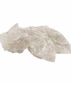 Buy Pure Champagne Molly