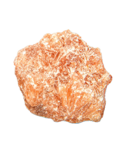 Buy Orange Molly Online